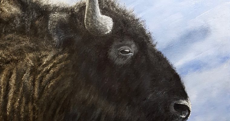 Time-Lapse – Buffalo Acrylic Painting